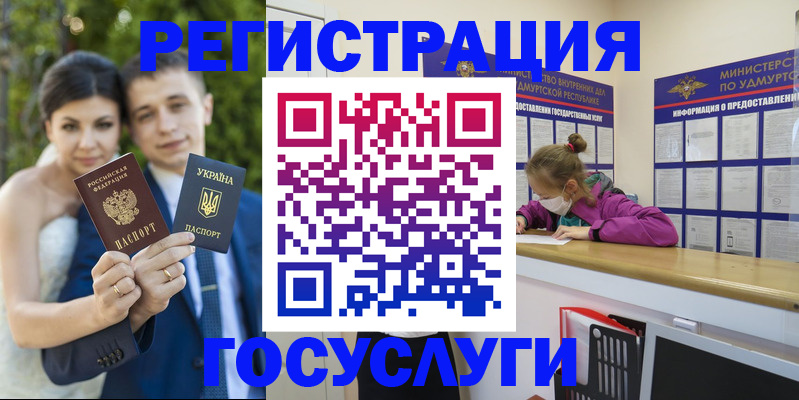 прописка поиск в Электрогорске